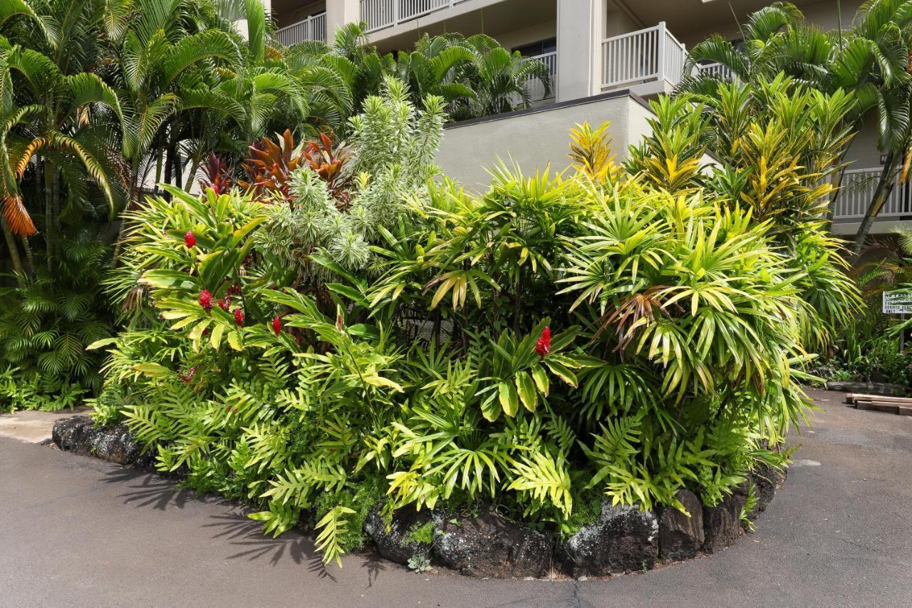 Kuhio Shores 107 Kukuiula Exterior foto